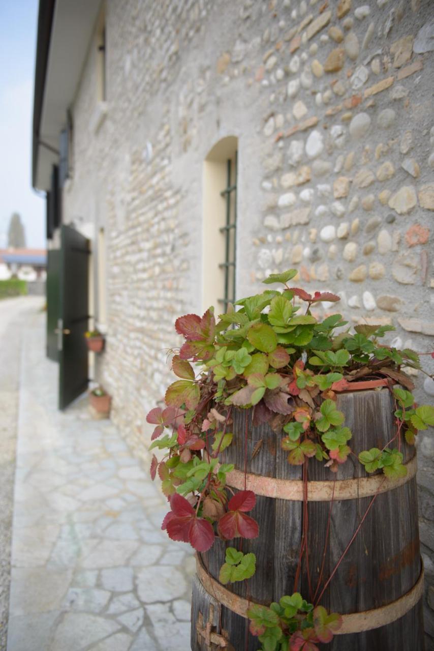 Villa Ca' Premuda Locazione Turistica Codognè Exterior foto
